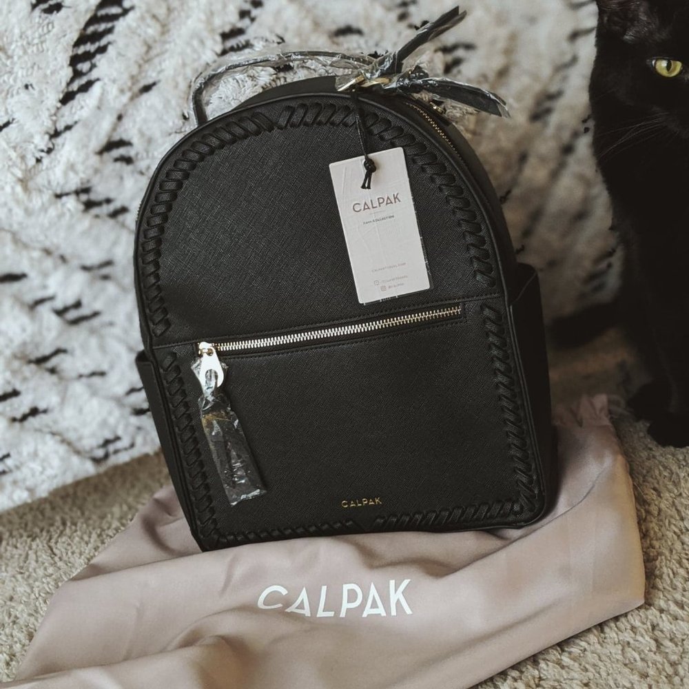 CALPAK backpack